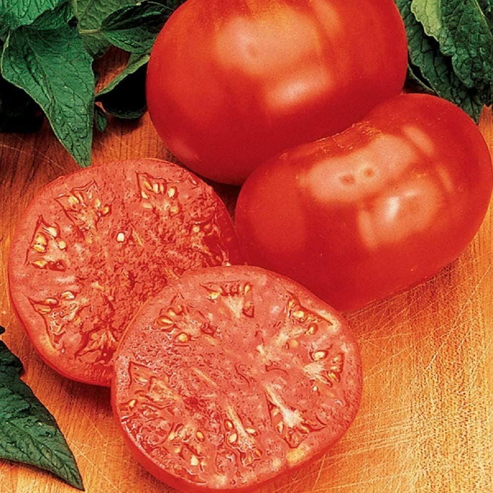 Tomato Seeds, Red Ponderosa Tomato Seeds, “COOL BEANS N SPROUTS” Brand. Heirloom