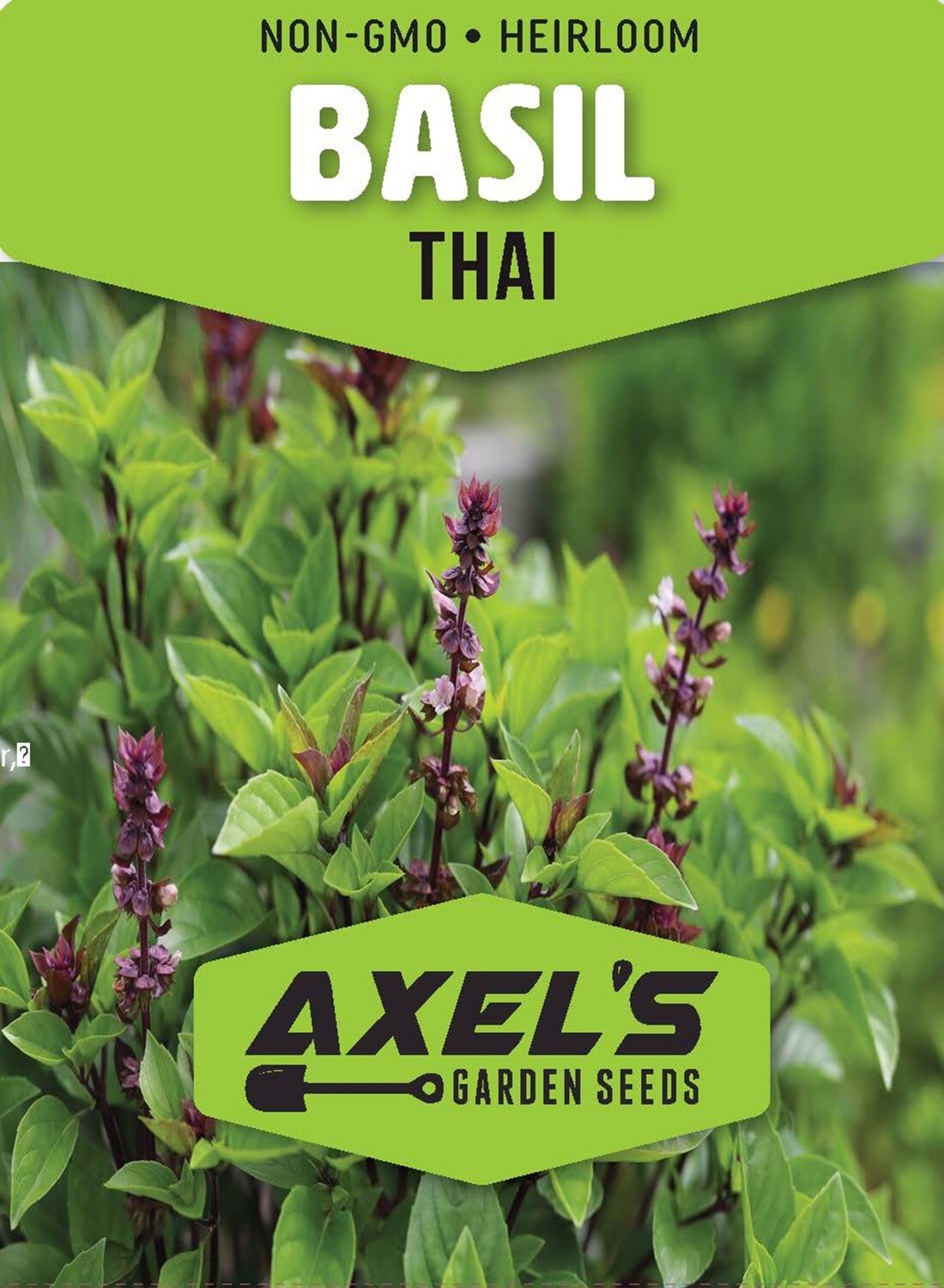 Thai Basil Seeds for Planting – Heirloom Non GMO Open-Pollinated Fresh Herb Seed