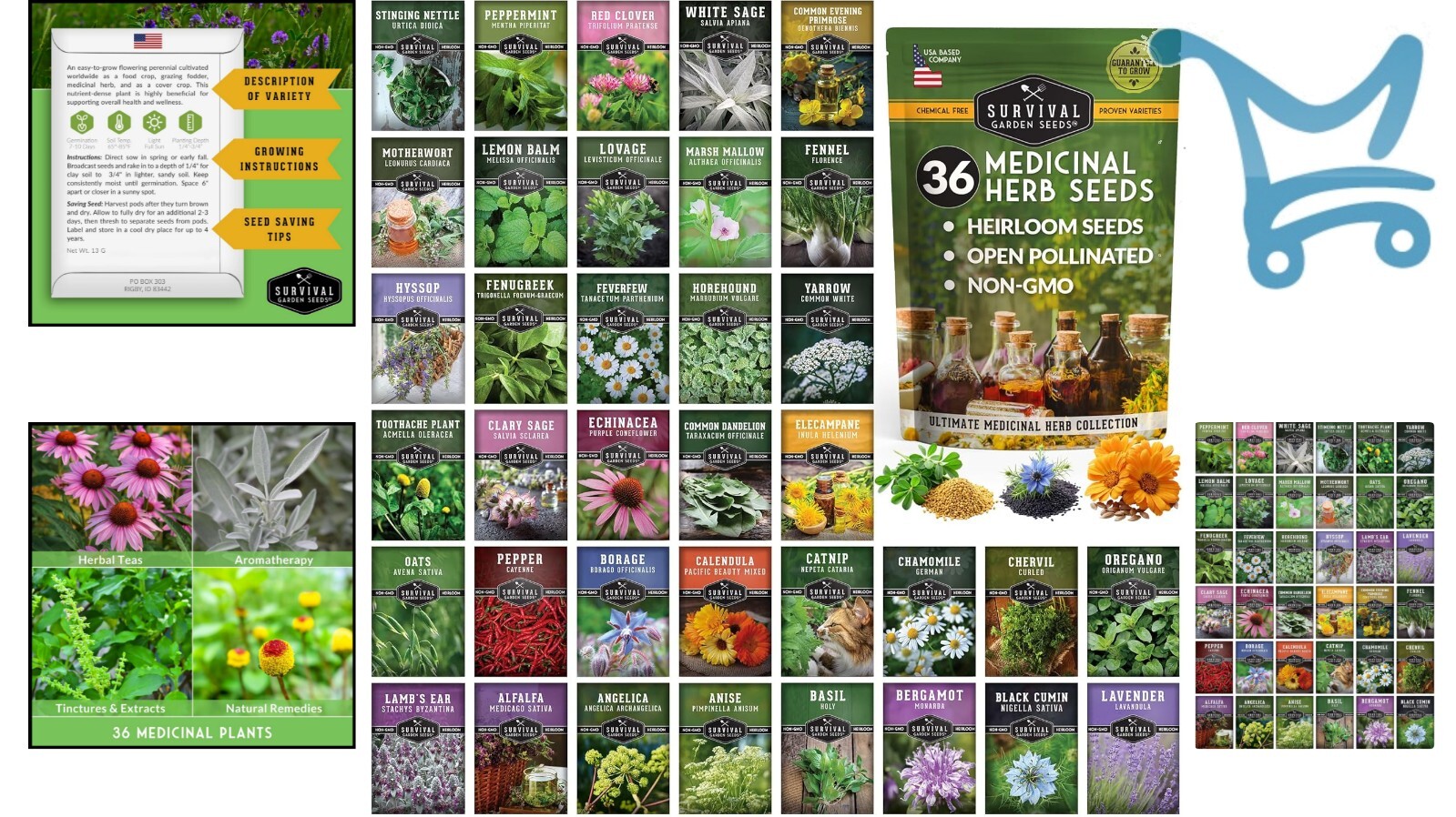 Home Apothecary Seed Kit – 36 Variety Pack of Medicinal Herbs for Self-Reliance