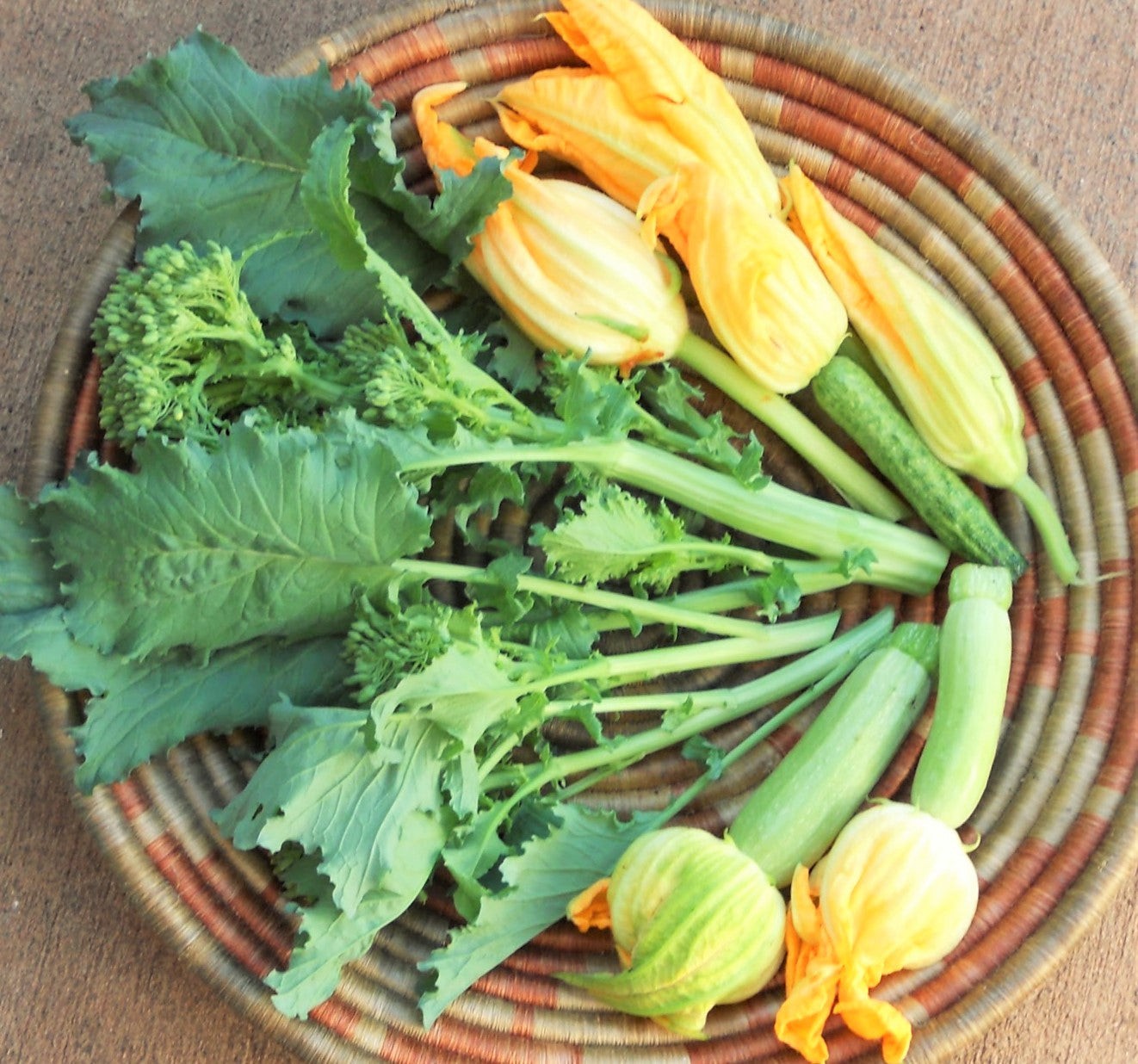 Broccoli Rabe Seeds | Brassica Broccoli Raab Spring Rapini Broccolini Seeds 2023