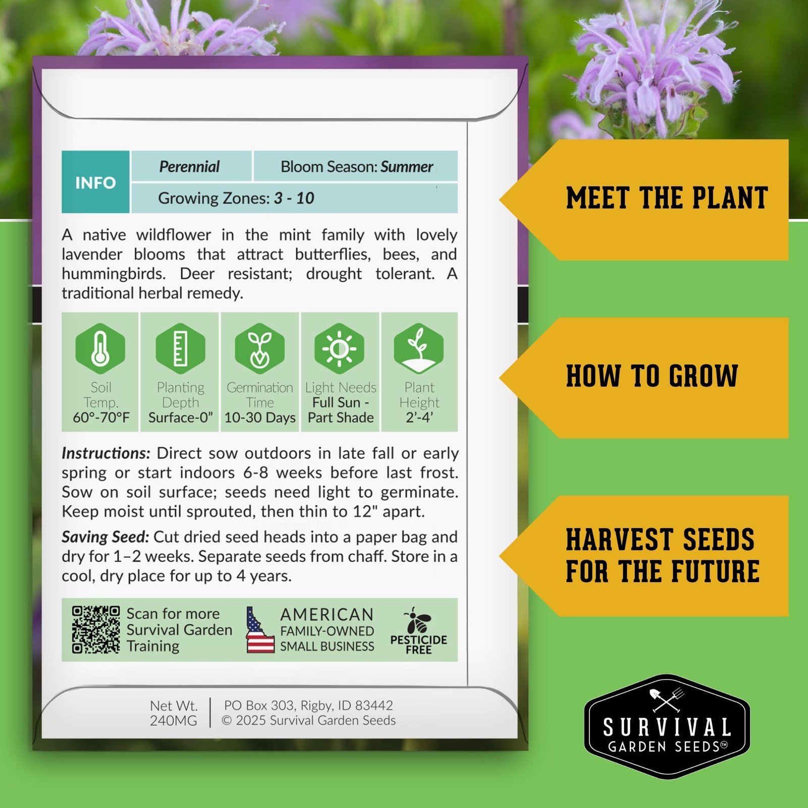 Bee Balm Seeds Wild Bergamot Perennial Native Flower Fragrant Medicinal 5 Packs