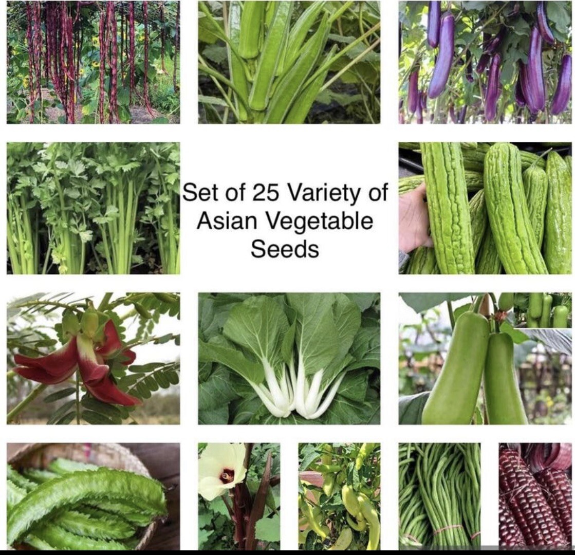 25 Packets Of Asian Vegetable Seeds For Planting. USA Seller.See Description.