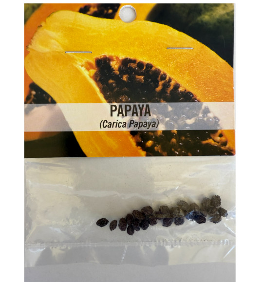 Hawaiian Solo Papaya 25 seeds – 1 Pack