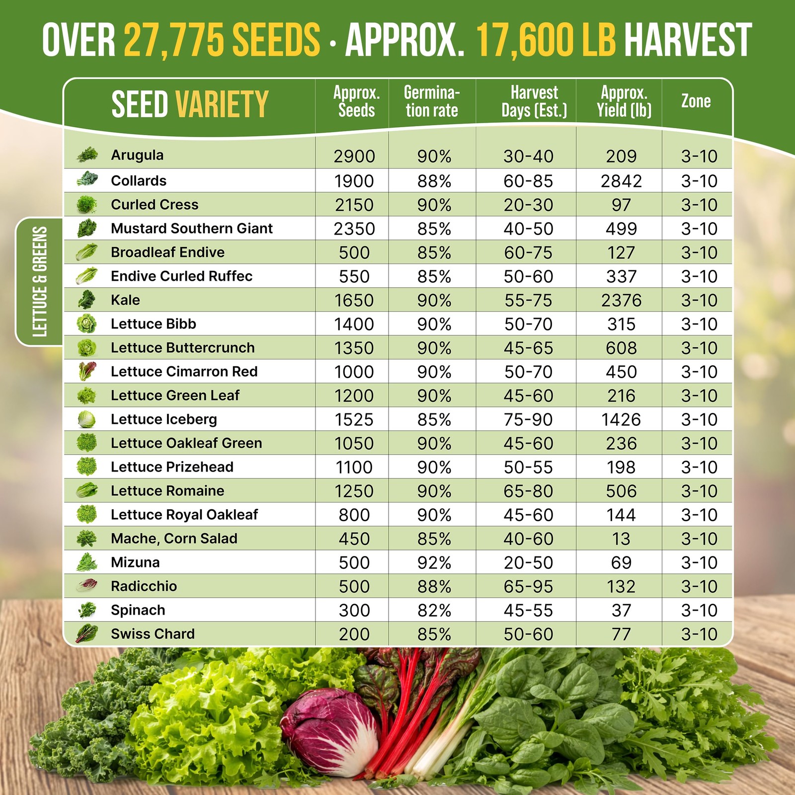 New Organo Republic 22 Lettuce & Salad Greens Seeds Variety Pack 24,700+ Non-GMO