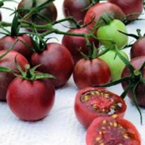 Tomato Black Cherry (Lycopersicon Esculentum) Great Garden Vegetable 50 Seeds