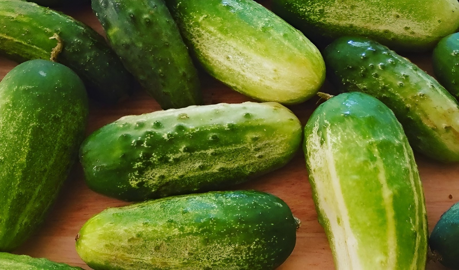 60 Heirloom Arkansa’s Litte Leaf Cucumber Seeds High Yield- Compact Bush Variety