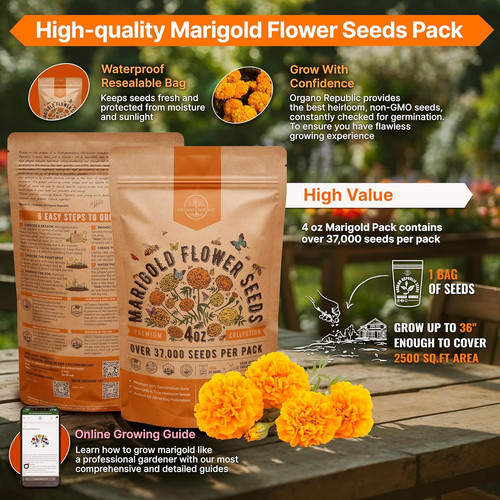 Marigold Seeds Pack 4 oz – Over 37,000 4oz, Orange, Yellow, Red, Green