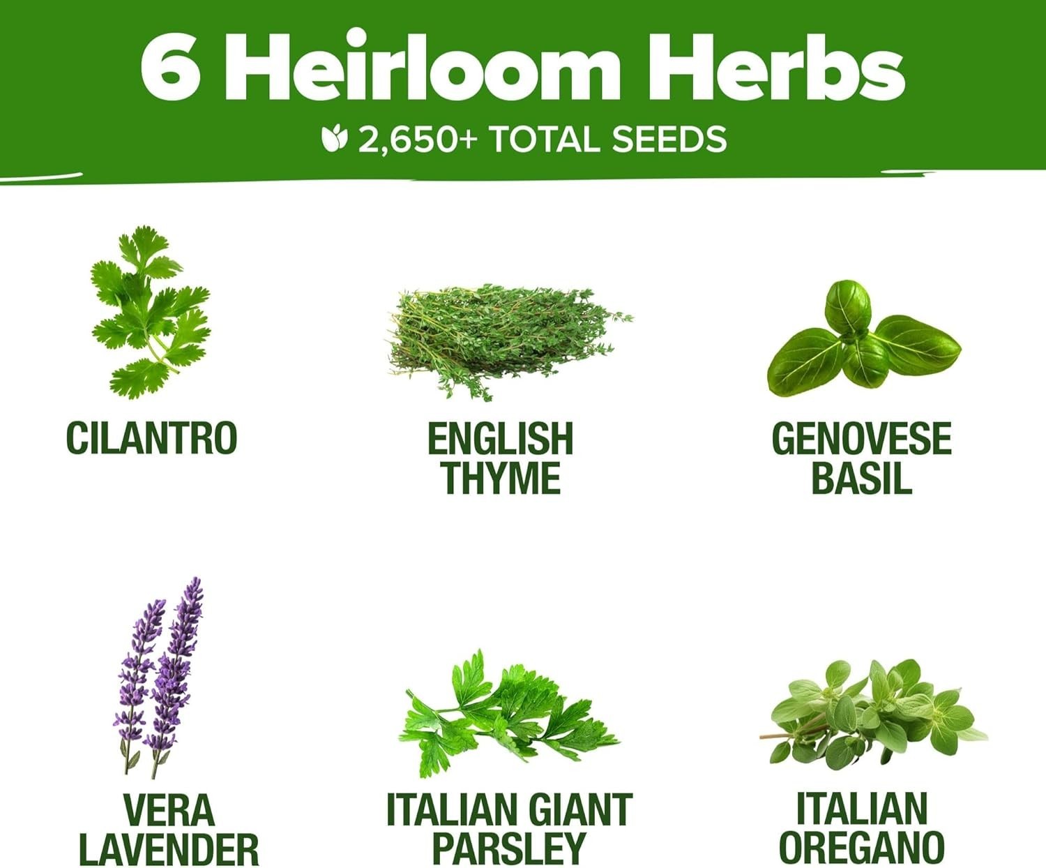 Beginner’s Herb Garden Kit: 6 Seeds with Detailed Growing Instructions