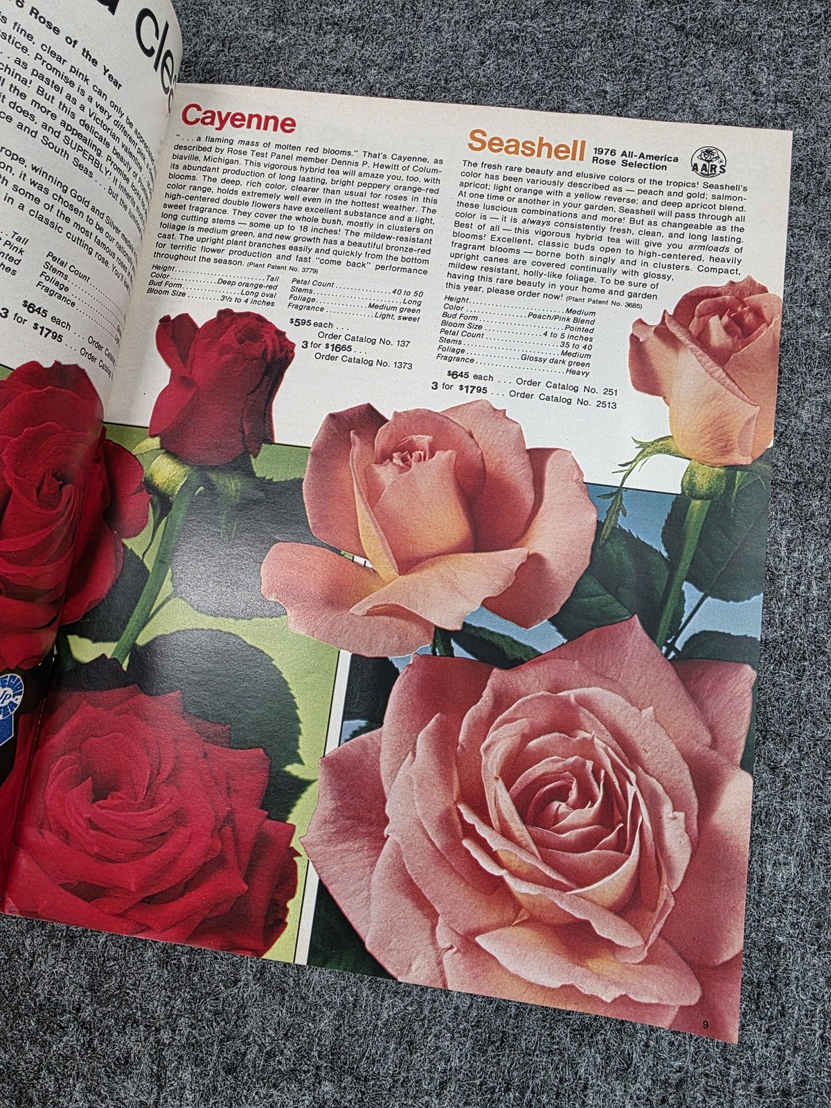 Vintage Jackson & Perkins Roses ’80 Catalog All-America Award Winners