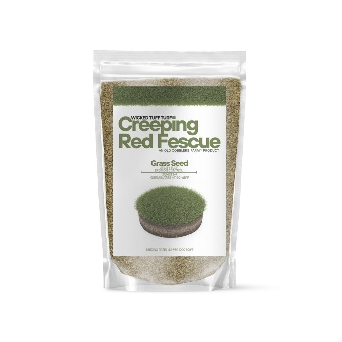 Old Cobblers Farm™ Wicked Tuff Turf Creeping Red Fescue Grass Seed – Thick Green