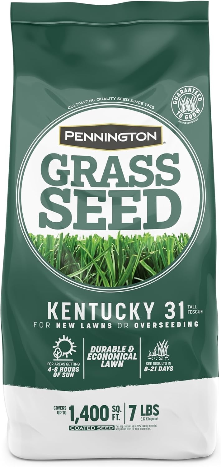 Kentucky 31 Fescue 7 LB Tall Fescue Grass Seed, Grass Seeds for Lawn