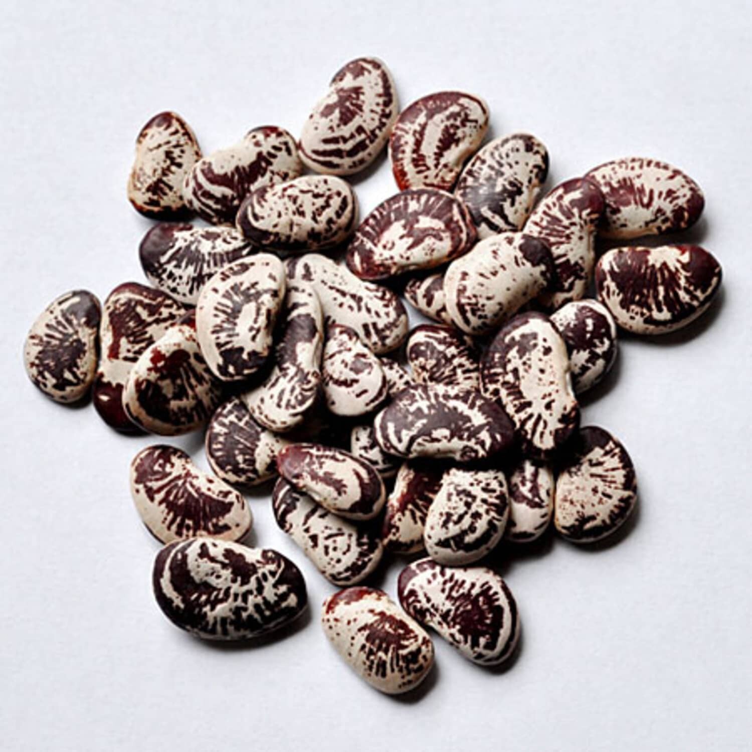 25+ seeds, Bean (Giant Spekled)-Christmas Pole Lima, Open pollinated, Heirloom