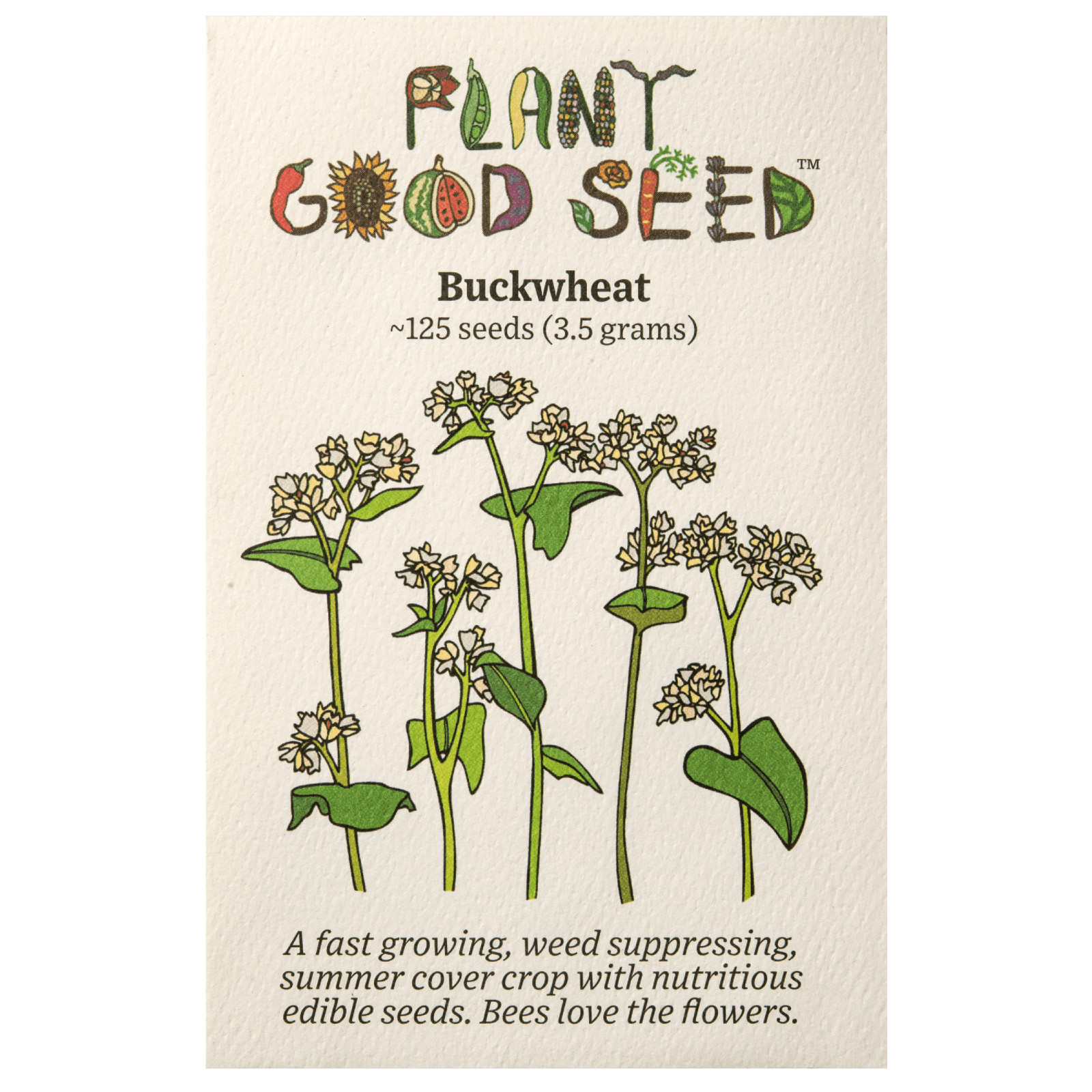 Buckwheat Seeds for Planting: Fast Growing Organic Bulk Cover Crop Seed Packet