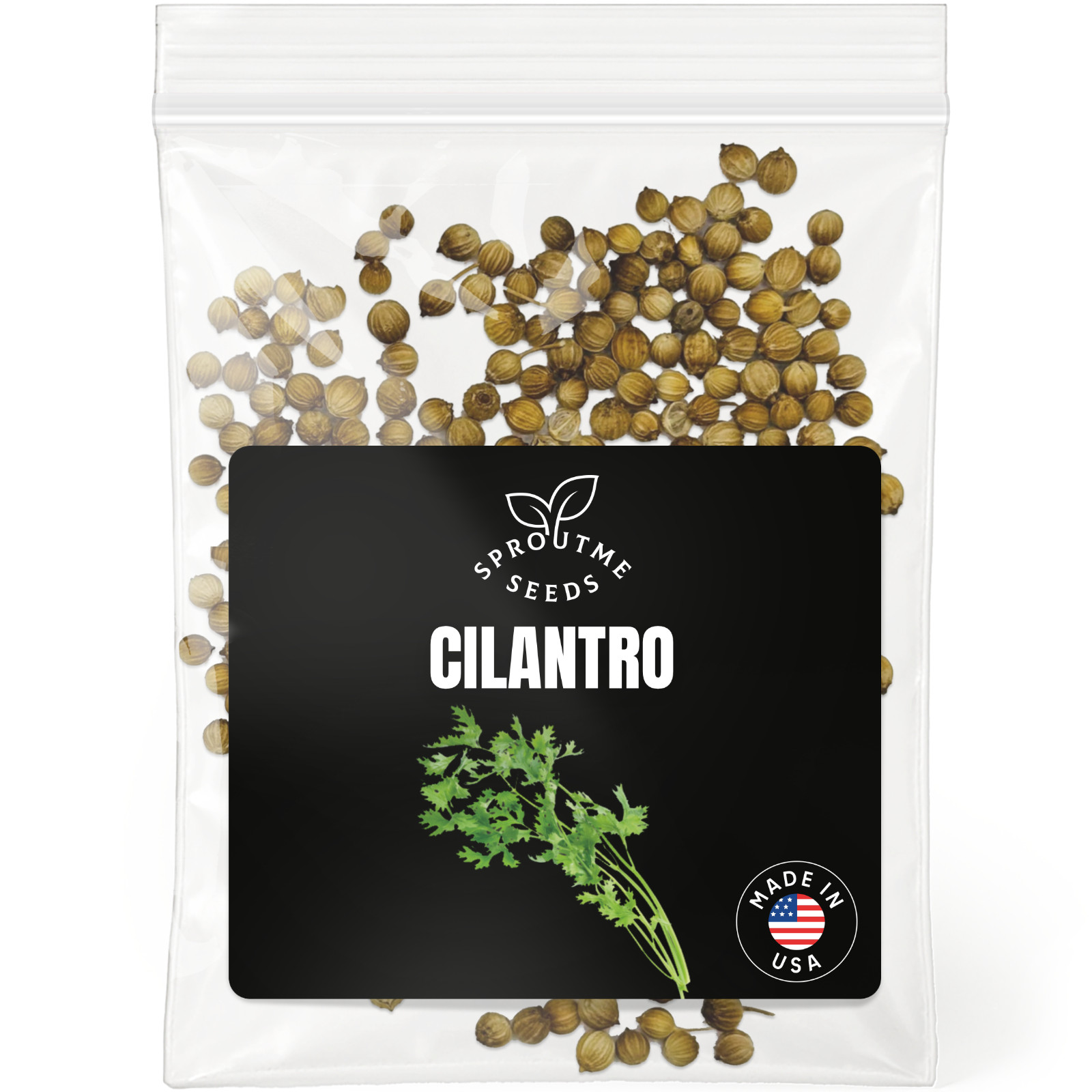 Cilantro Seeds 200+, Heirloom Non-GMO, Coriander Herb for Garden