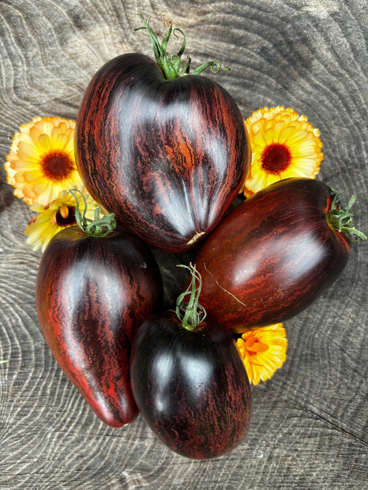 10 seeds Rebel Starfighter Prime Heart Tomato Rare ORGANIC Variety