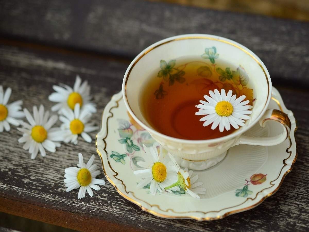 Chamomile Seed fresh crop 600 seeds