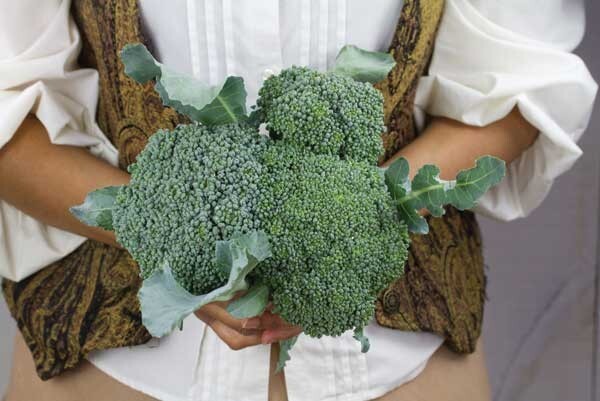 1/4 Million Veggie, Fruit & Sprout Seeds Survival/Garden+ $30 Herb Pack
