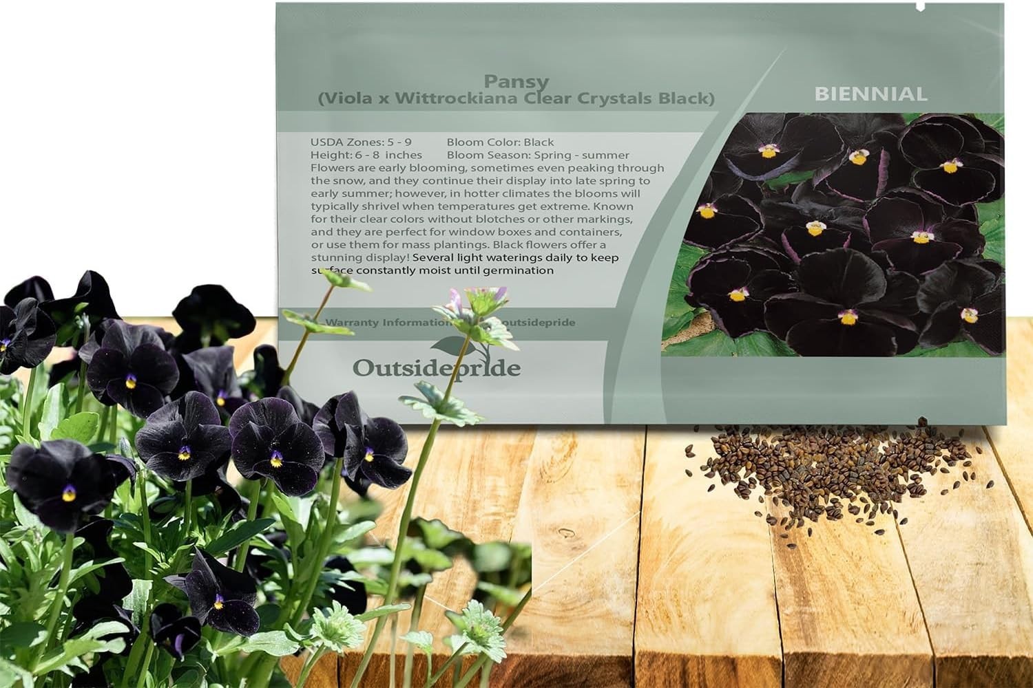 Elegant Black Viola Pansy Seeds – Pollinator-Friendly Biennials for Any Garden