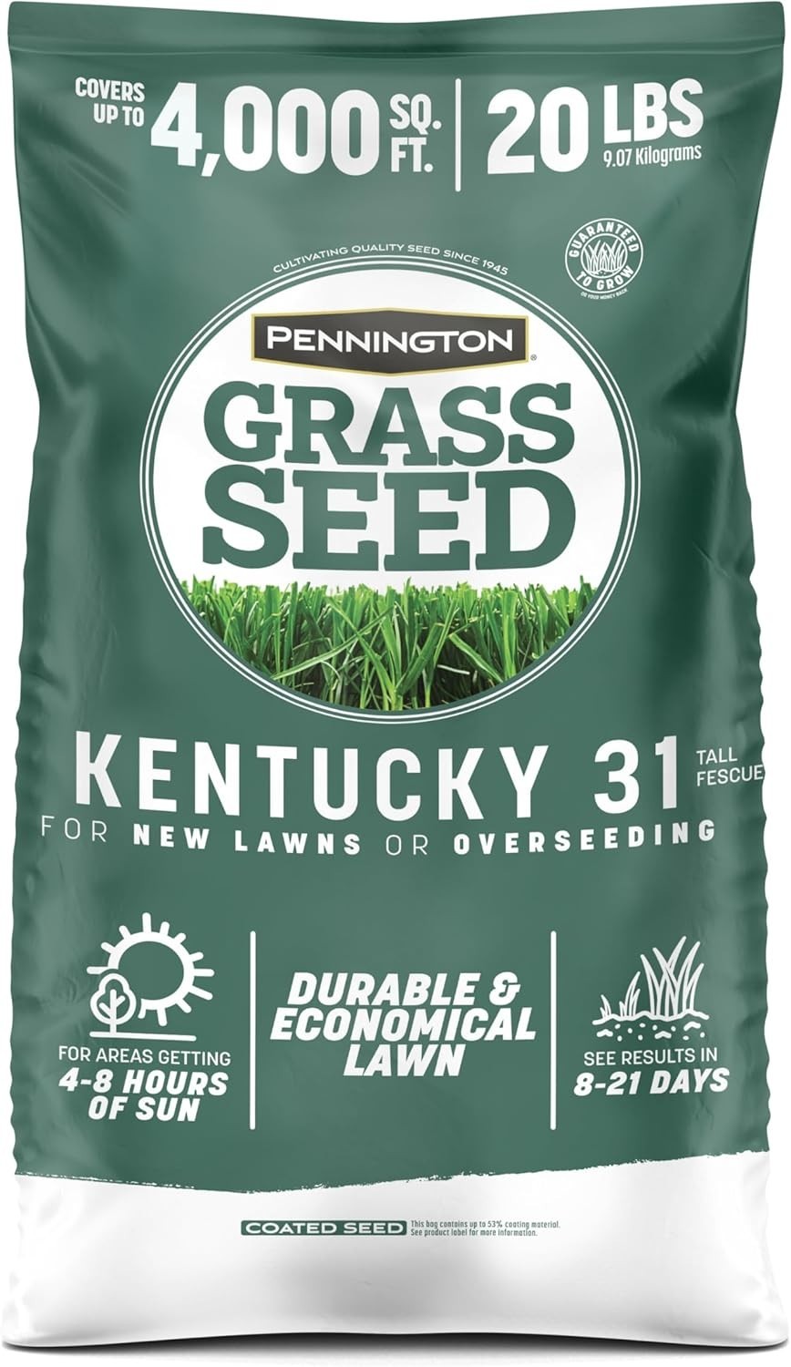 Fast Germinating Kentucky 31 Fescue Grass Seed 20 lb – Perfect for Any Lawn