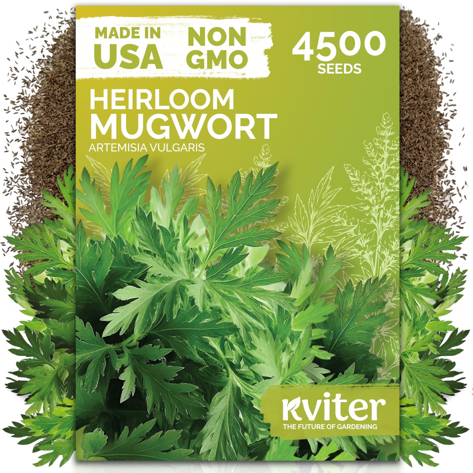KVITER 4500 Mugwort Seeds (Artemisia Vulgaris)