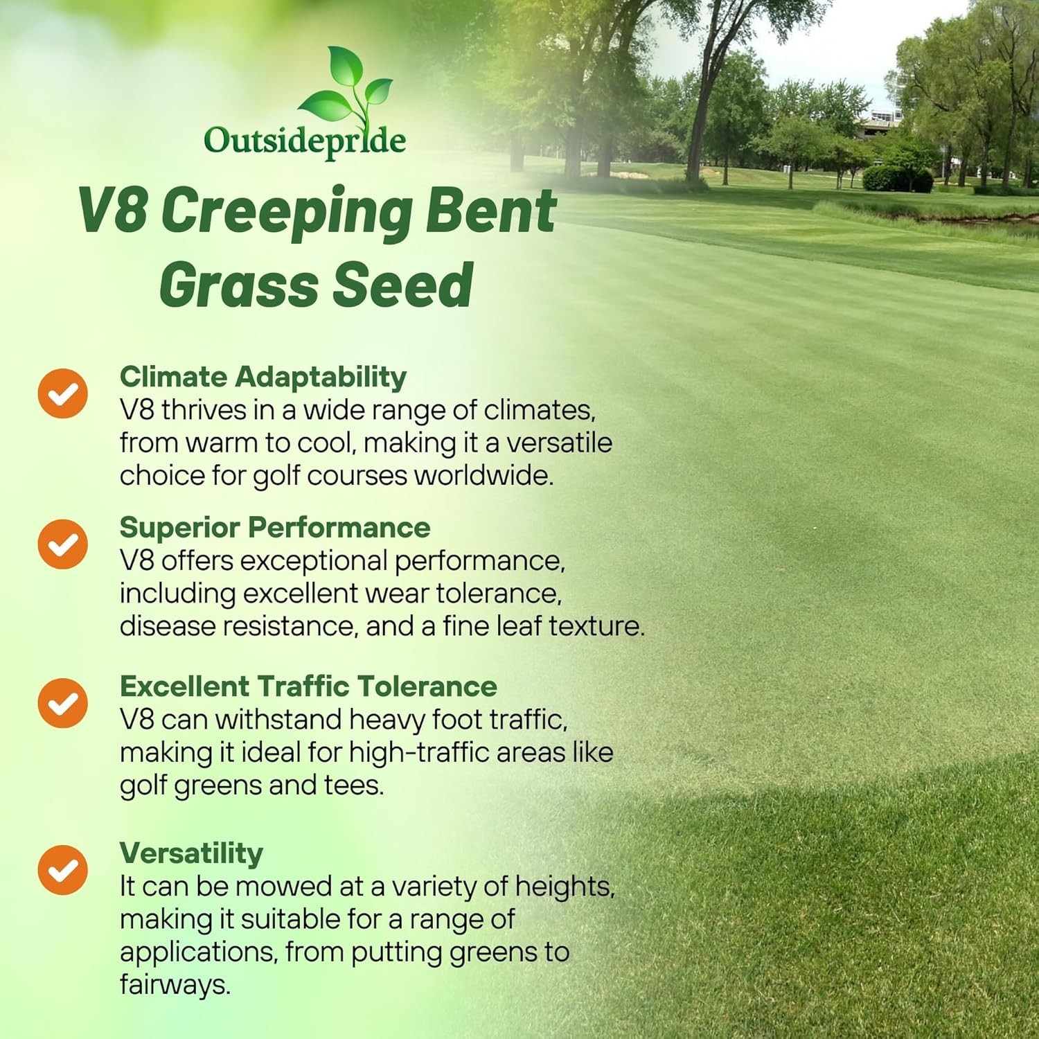 5 LBS V8 Creeping Bent Grass Seed For Golf Courses & Putting Greens