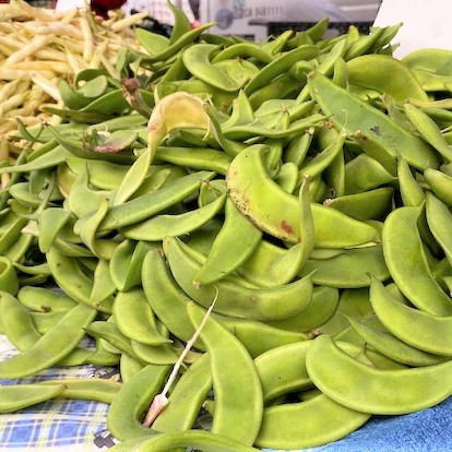 Dixie Speckled Butterpea Lima Bean Seeds | Baby Limas Red Butter Beans Seed 2024