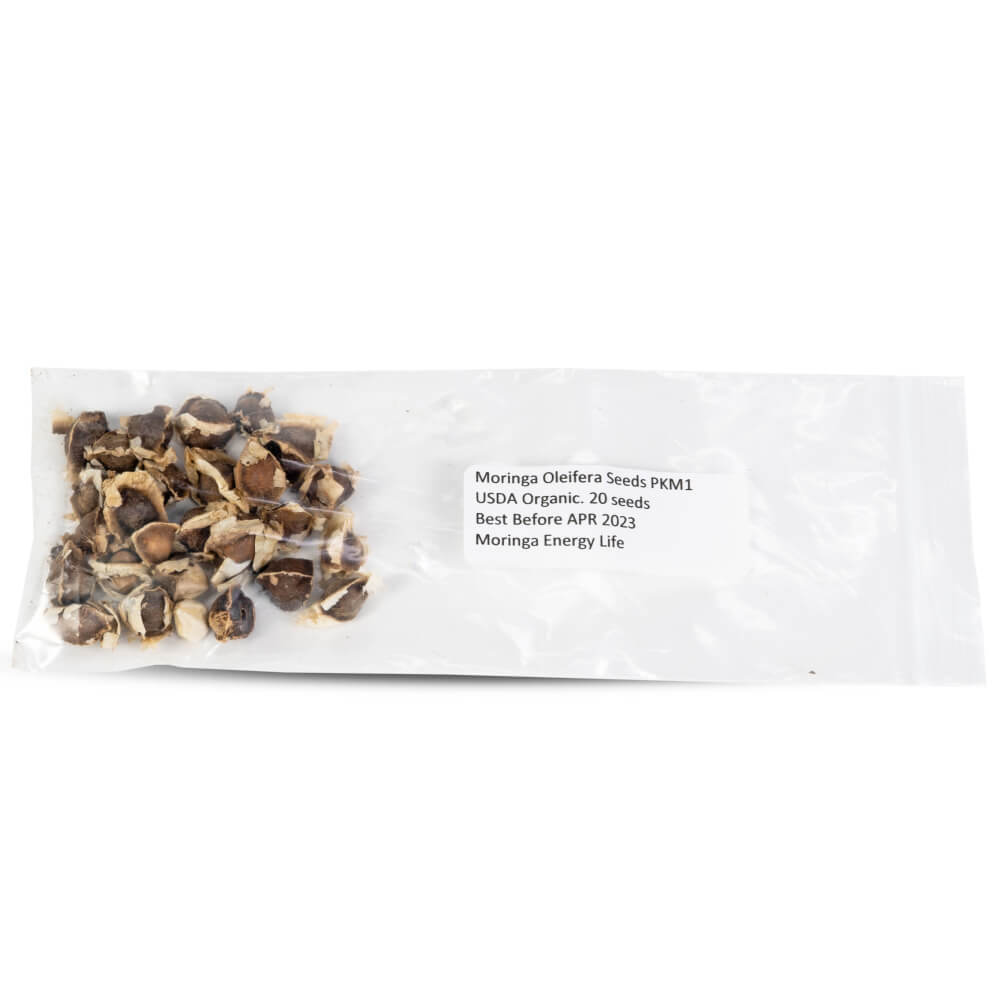 Moringa Seeds USDA Organic (1 PK) to Eat or Plant