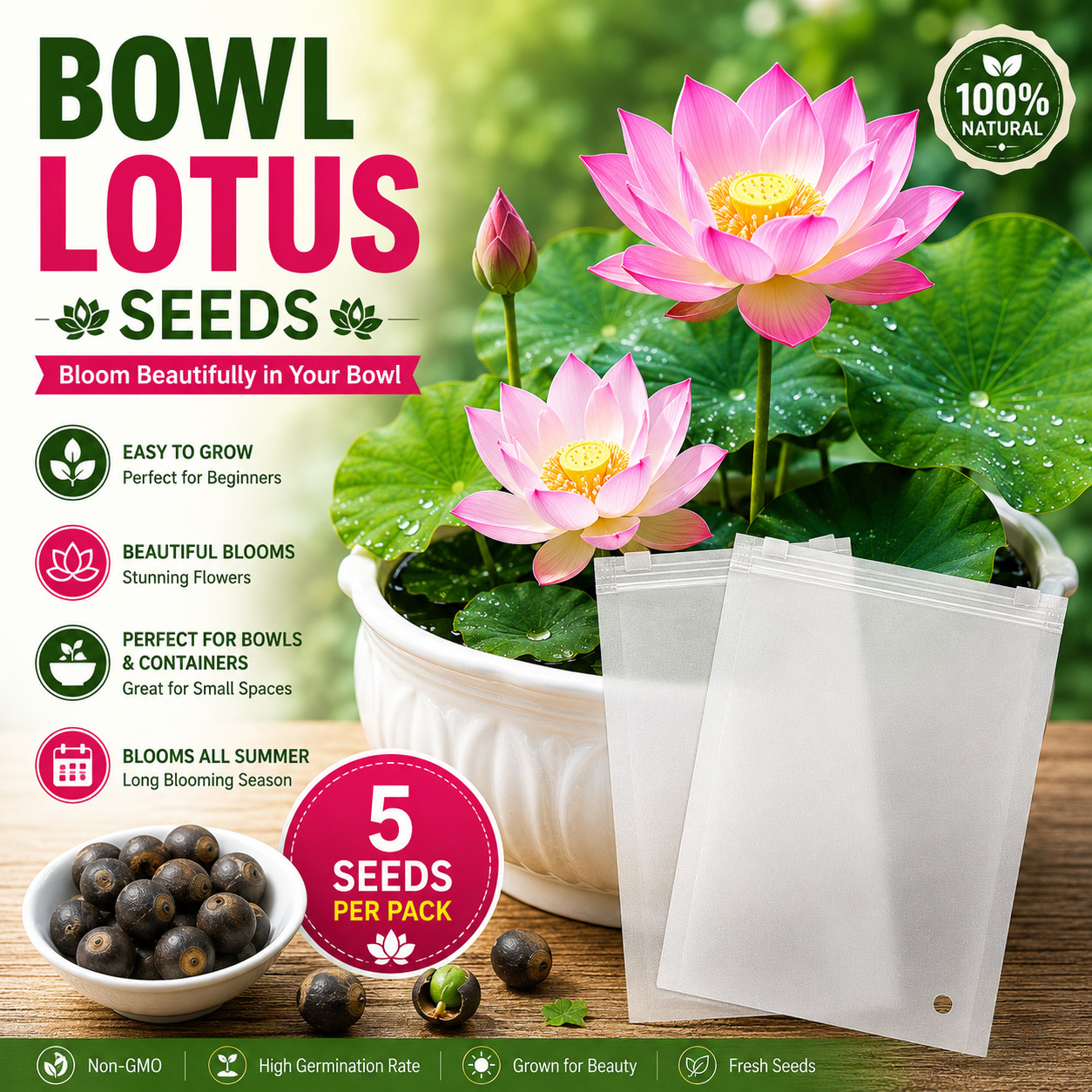 Bowl Lotus Seeds for Water Garden – Mini Pink Lotus Flower Easy To Grow for Pati