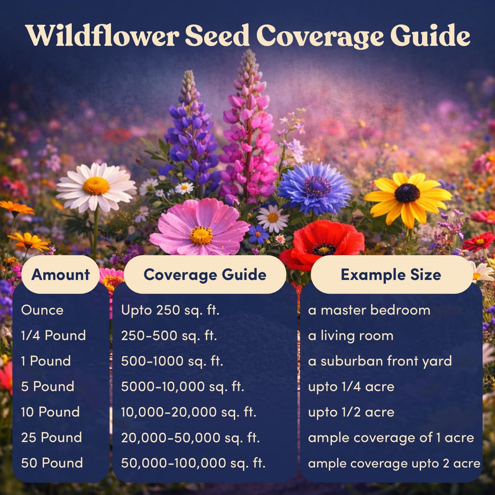 Bulk Wildflower Seed Mix – 20 Varieties Perennial Flower Seeds, 900,000+ Seeds,