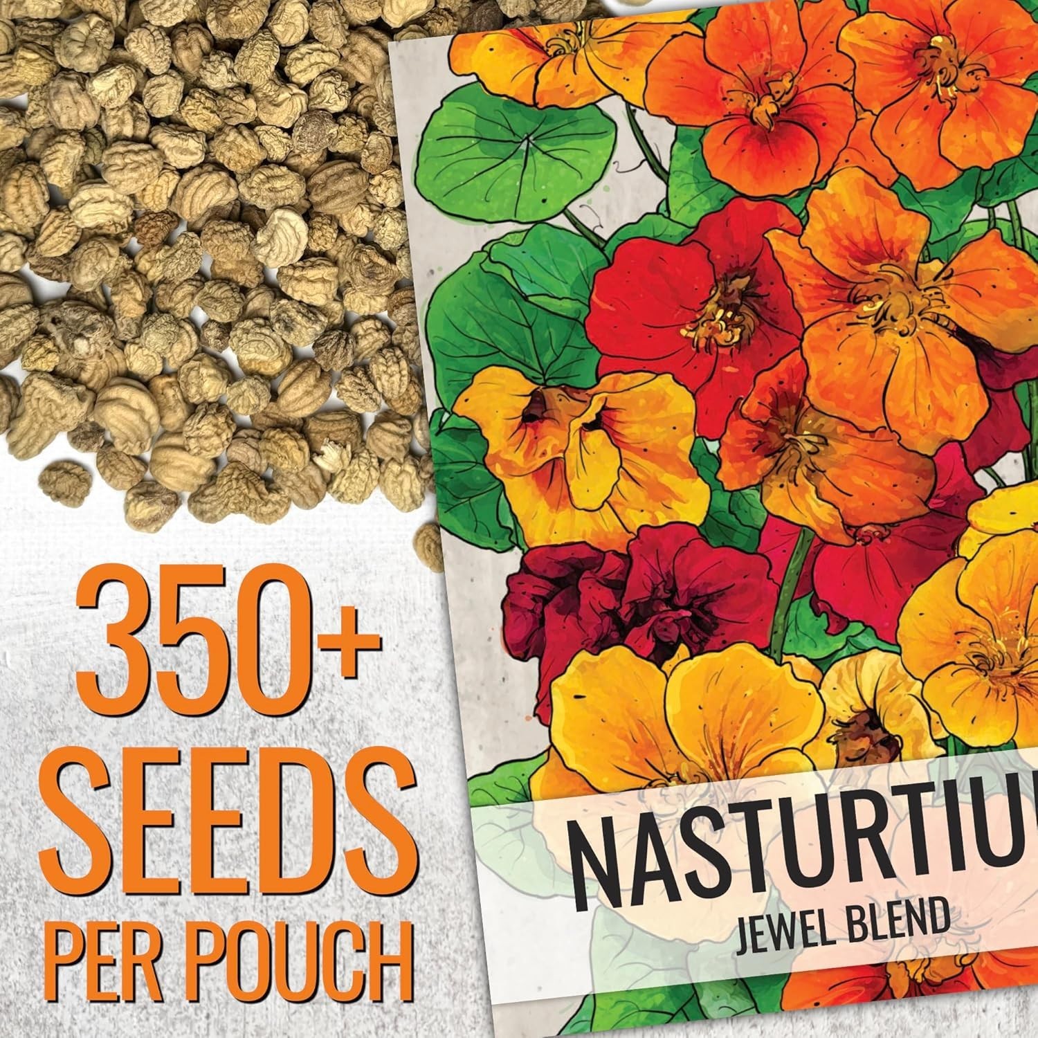 Multicolored Nasturtium Seeds, 350+ Heirloom, Full Sun, Summer Bloom