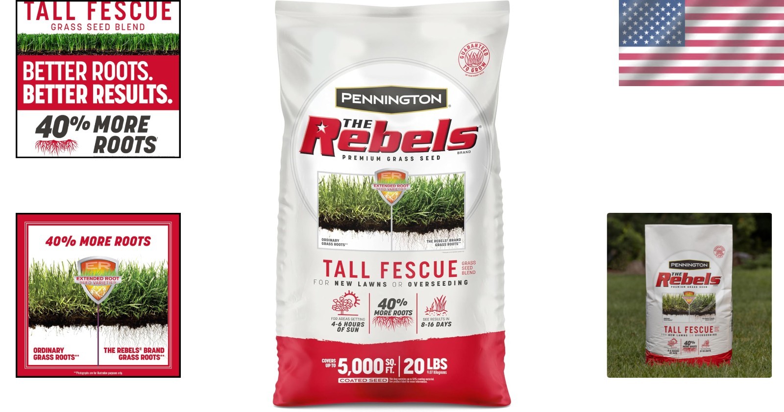 Rebels Tall Fescue Seed Mix, 10,000 sq ft Coverage