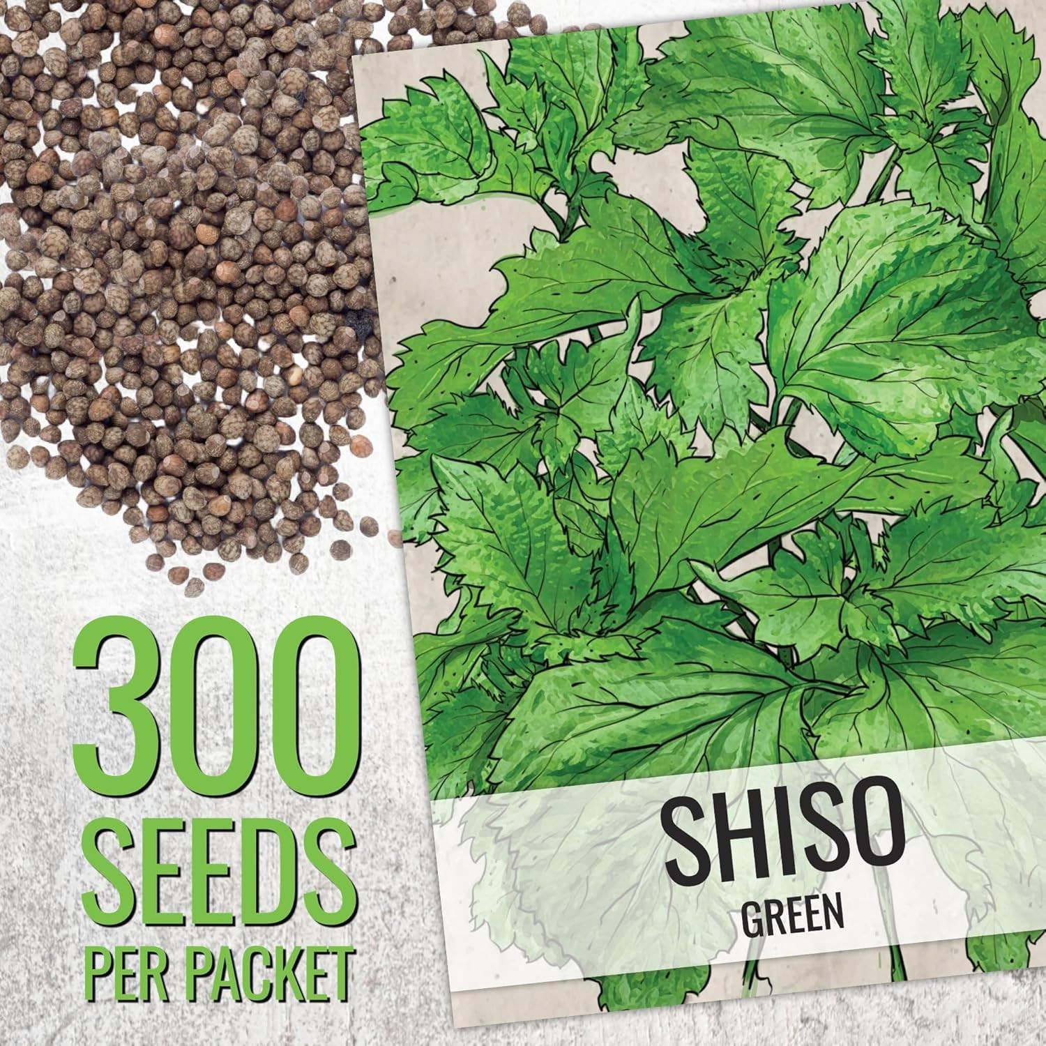 Seed Needs Shiso Green & Red Seed Packet Collection – 2 Individual Seed Packets