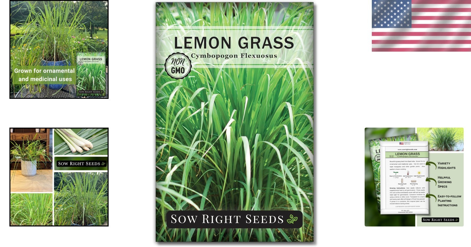 Eco-Friendly Lemon Grass Seeds – Non-GMO & Heirloom for Flavorful Home Gardening