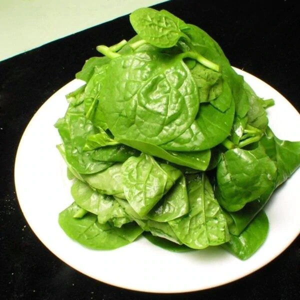 Organic Green Malabar Spinach Seeds Alugbati Mồng Tơi US Seller