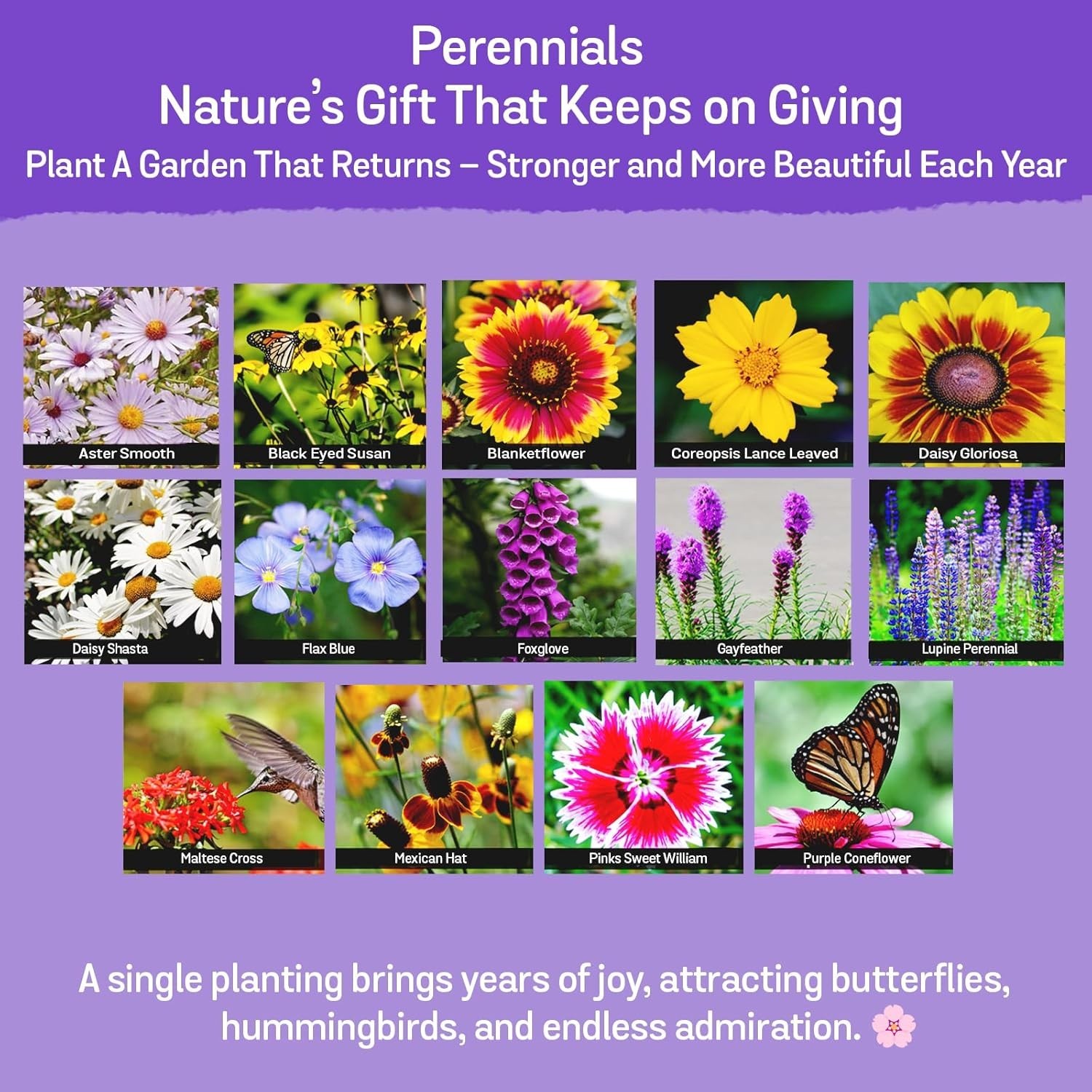 Attract Pollinators with 340,000 Non-GMO Wildflower Seeds – 35 Flower Varieties