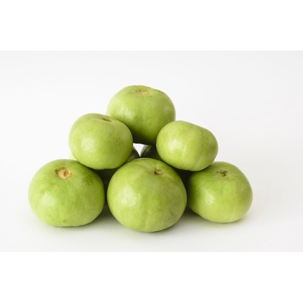 Gourd Tinda 15+ Heirloom Seeds Asian Garden Vegetable 100% Organic Grown In USA