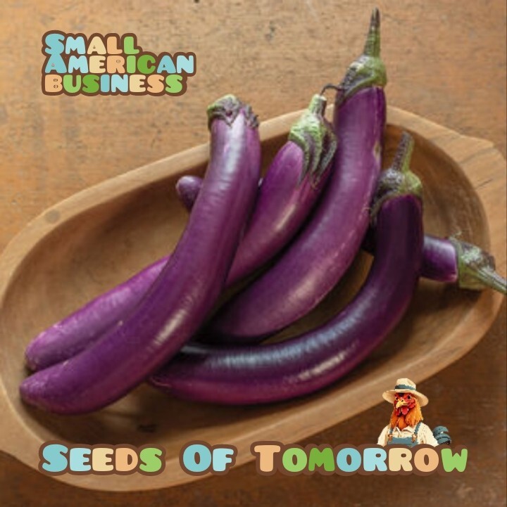 55 Organic Non-GMO Long Purple Italian Eggplant Seeds – Seeds Of Tomorrow