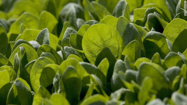SPINACH * DARK GREEN * SLOW BOLTING * SMOOTH LEAF * 48 DAYS *