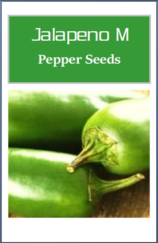 Jalapeno M Pepper Seeds | NON-GMO | Heirloom | Fresh Garden Seeds