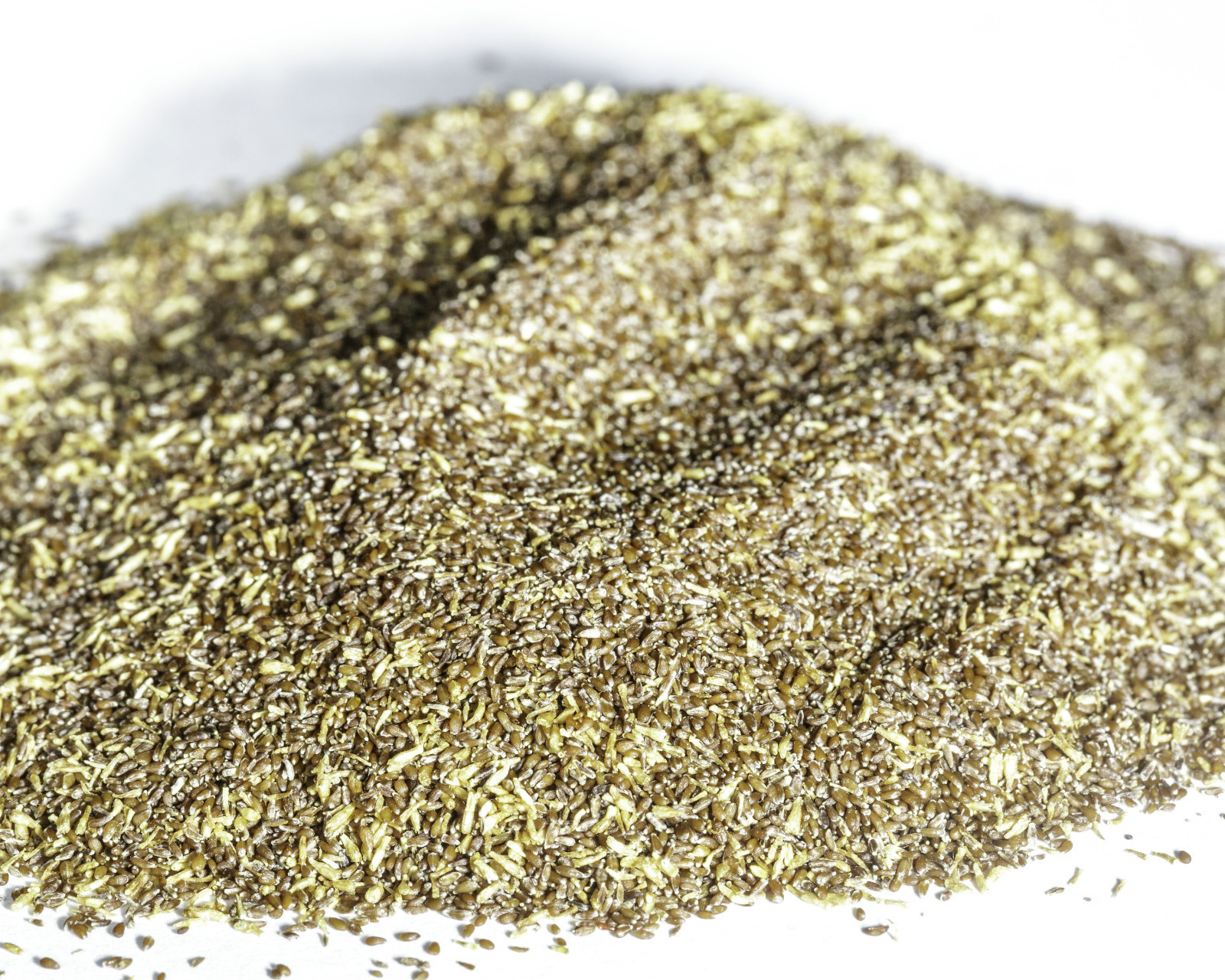 Fringed Sagebrush Seeds – Artemisia frigida – Prairie Sagewort – Arctic Sage