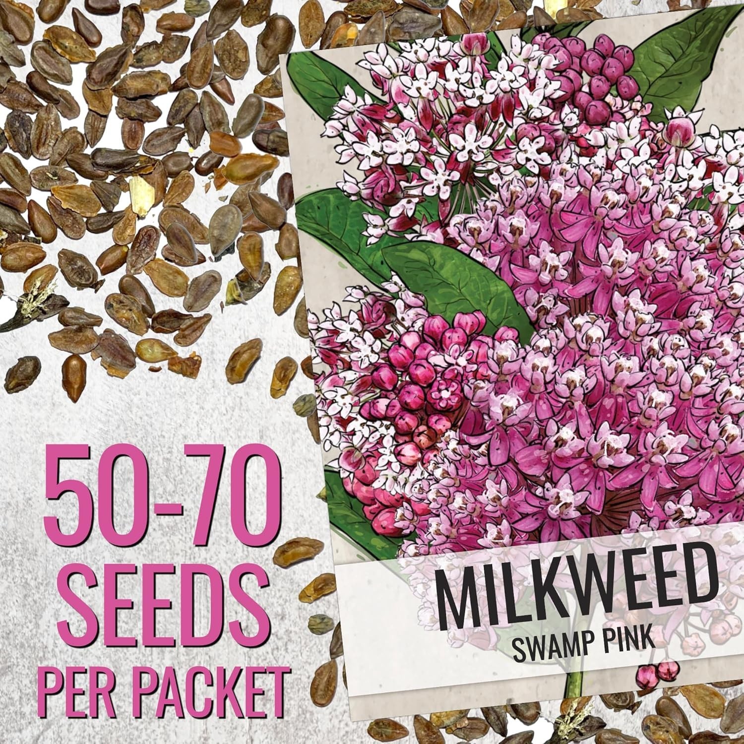 Milkweed Seeds for Planting a Butterfly Garden to Attract Monarch Butterflies…