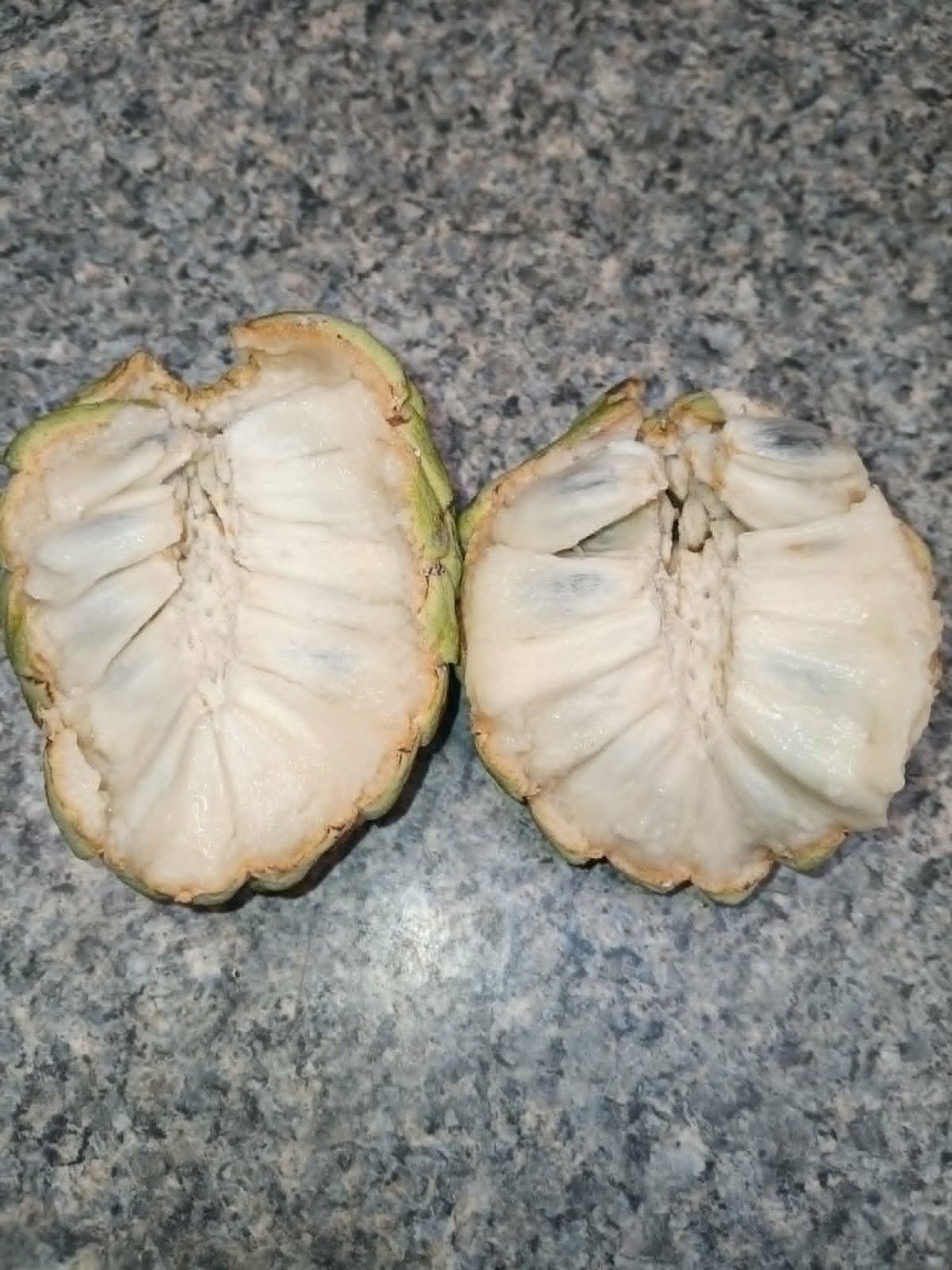 Sugar Apple Annona Squamosa Custard Live Plant Seedling