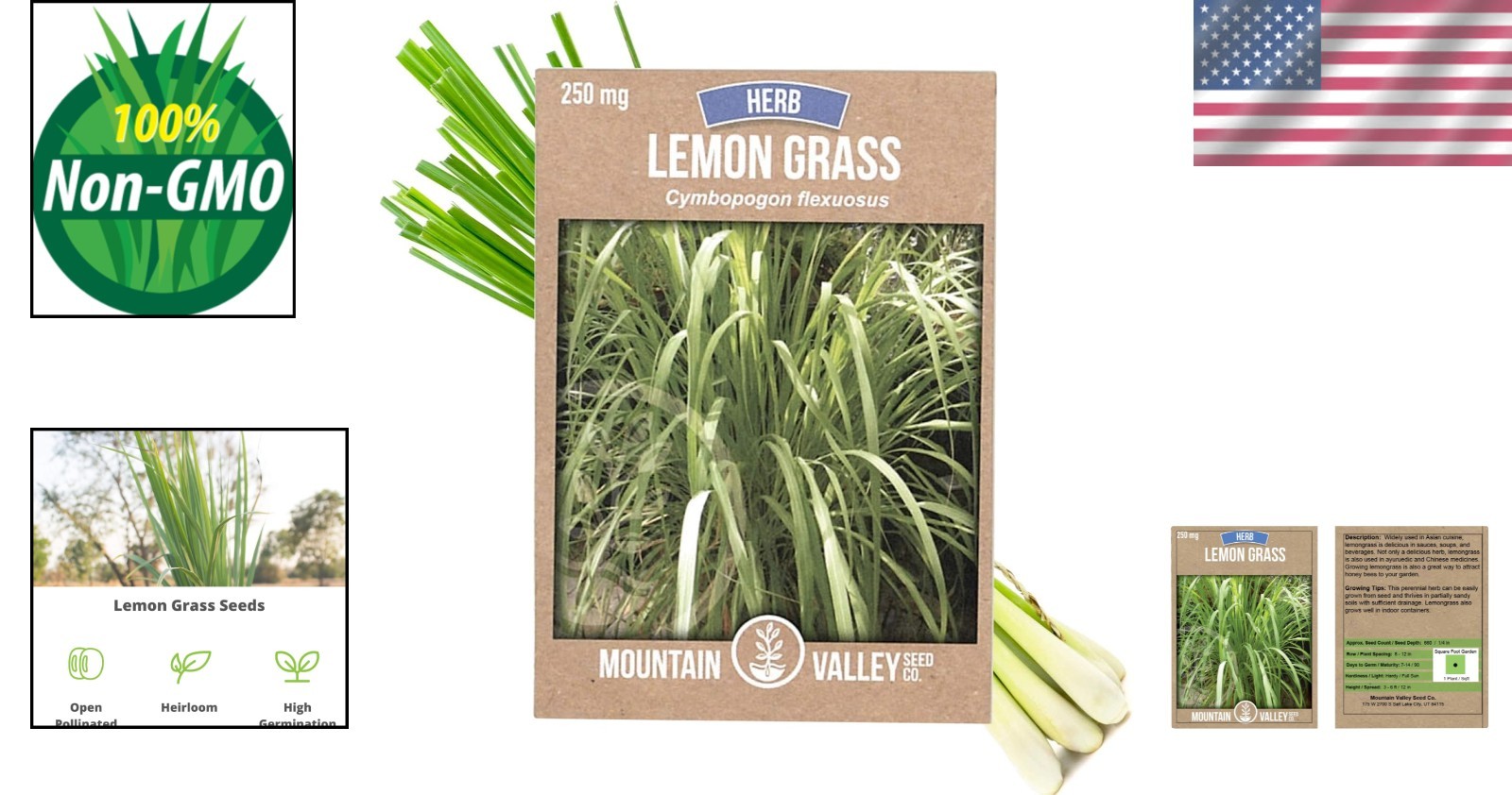 High Germination Lemongrass Seeds – 250 Mg for Winter Planting – Indoor/Outdoor