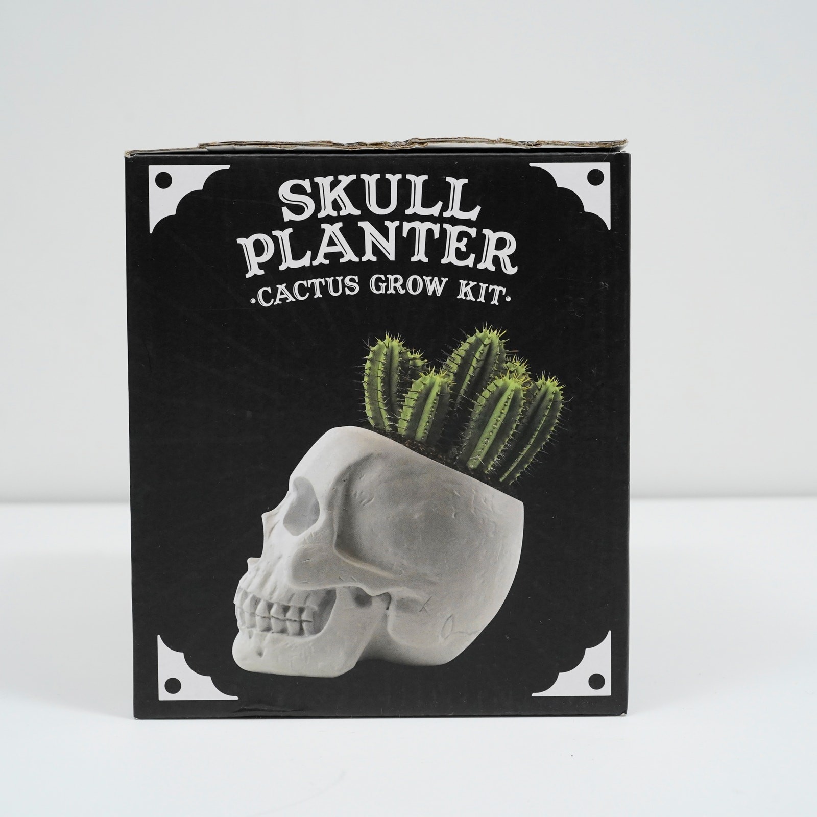 Skull Planter Cactus Grow Kit Macabre Gothic Decor Novelty Gift New in Box