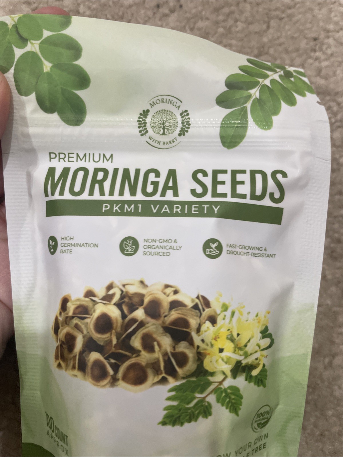Moringa Seeds 100 Count Moringa Tree Seeds High Germination Rates