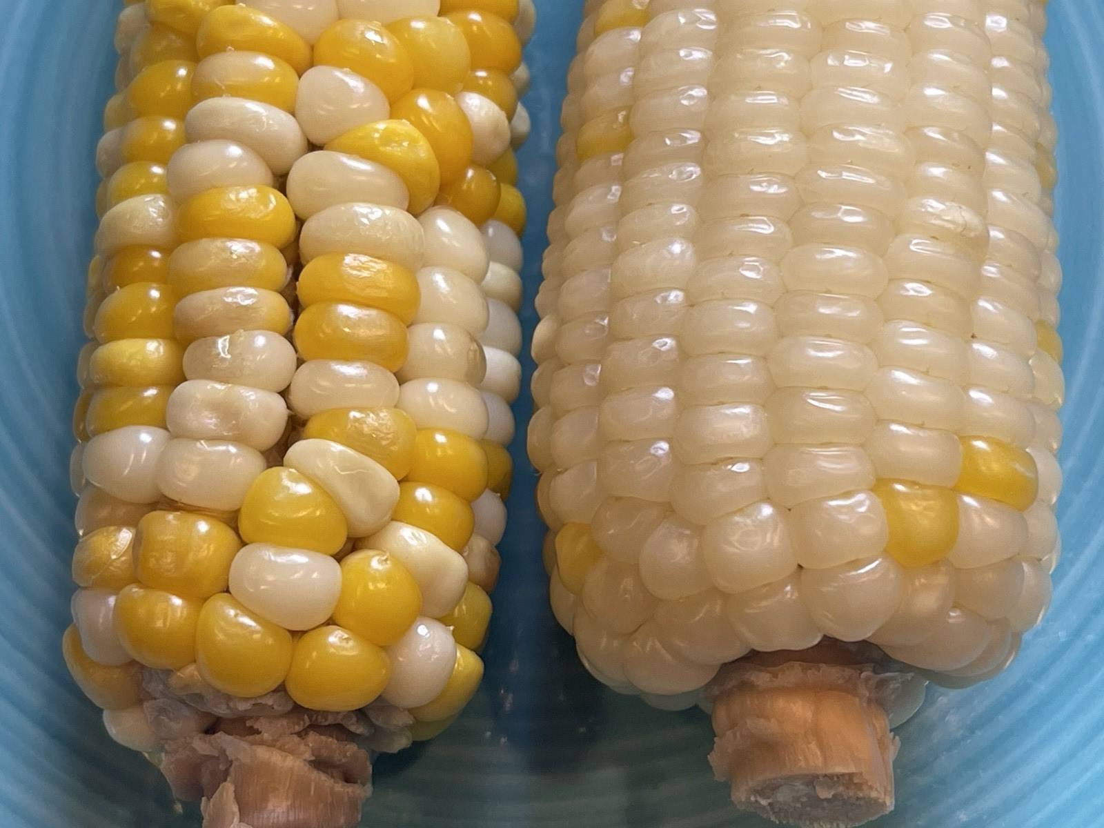 Organic Sweet Sticky Waxy White Glutinous Corn Non-GMO 糯玉米