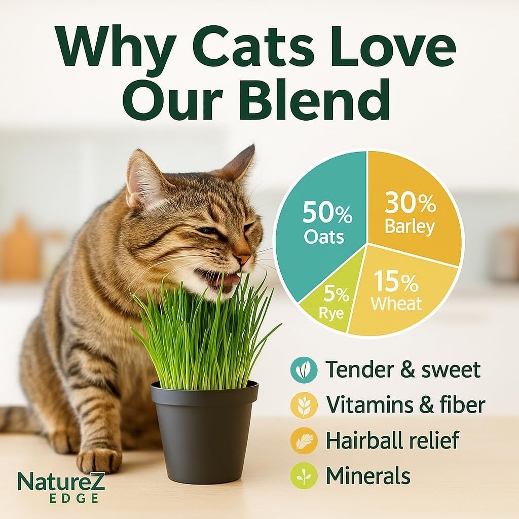 Pet-Friendly Cat Grass Seeds – 1/2 lb Naturally Grown Oat, Wheat, Barley, Rye