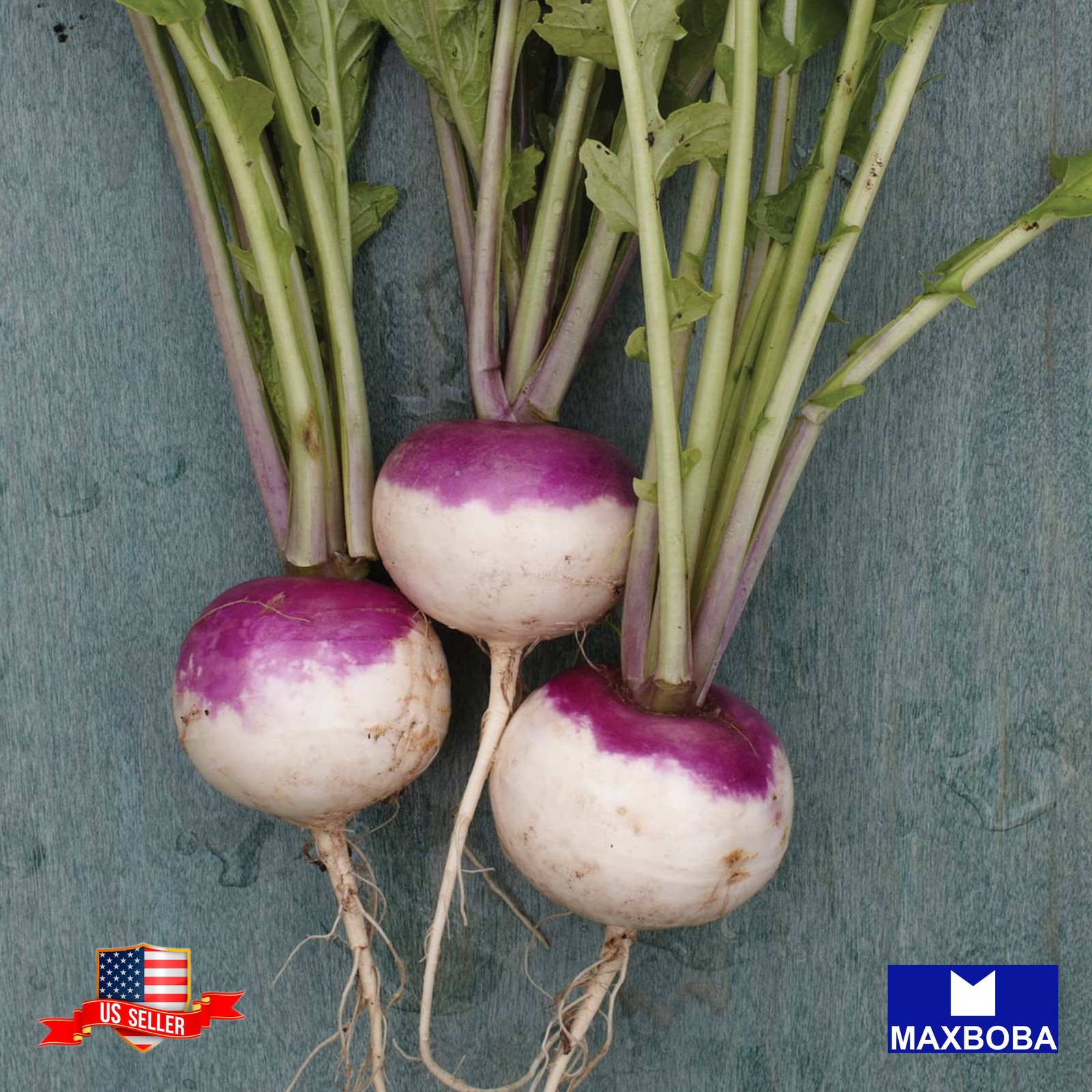 Premium Fresh 16000 Seeds Turnip Purple Top White Globe Non-GMO Heirloom Garden