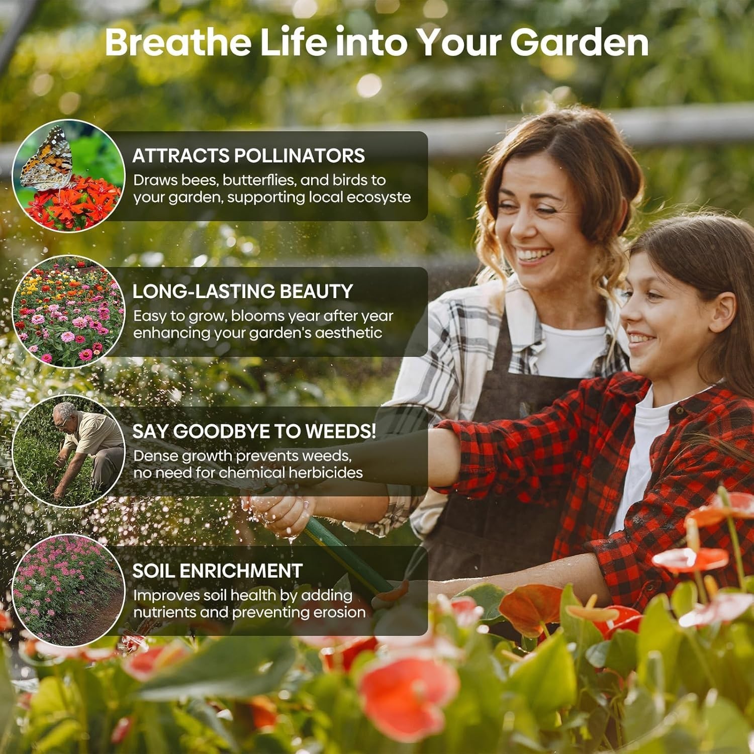 Wildflower Seeds Bulk, 4 Ounce, 200,000+ Seeds, 26 Varieties Annual & Perenni…