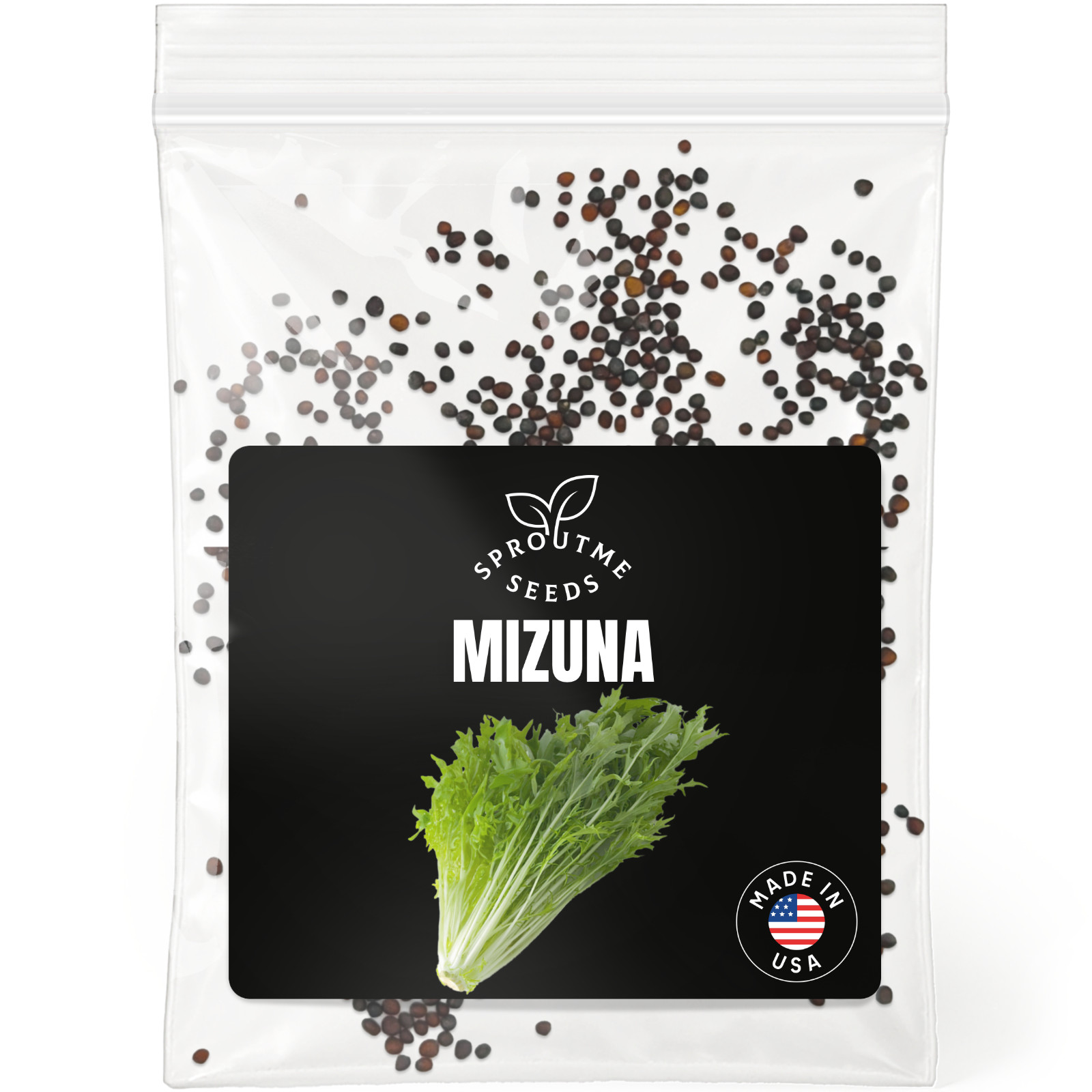 Mizuna Seeds 500+, Heirloom Non-GMO, Japanese Mustard Greens Salad Mix